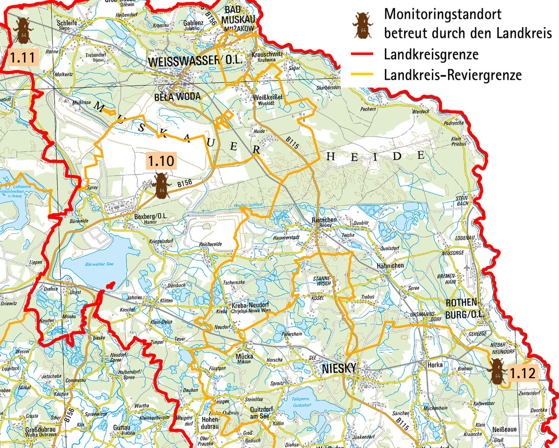 Borkenk Fermonitoring Im Landkreis G Rlitz Wald Forstwirtschaft