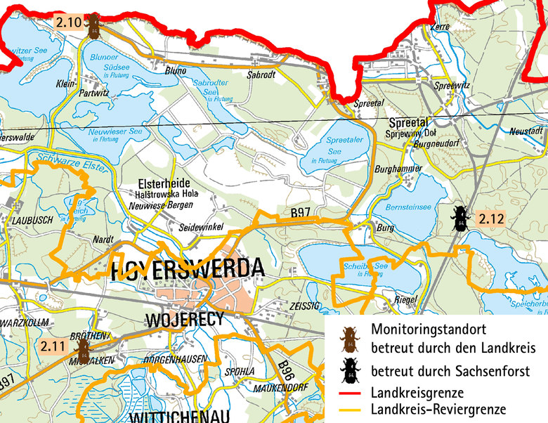 Borkenkäfermonitoring im Landkreis Bautzen - Wald, Forstwirtschaft