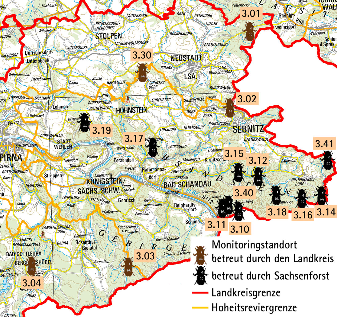 Borkenkäfermonitoring im Landkreis Sächsische Schweiz-Osterzgebirge