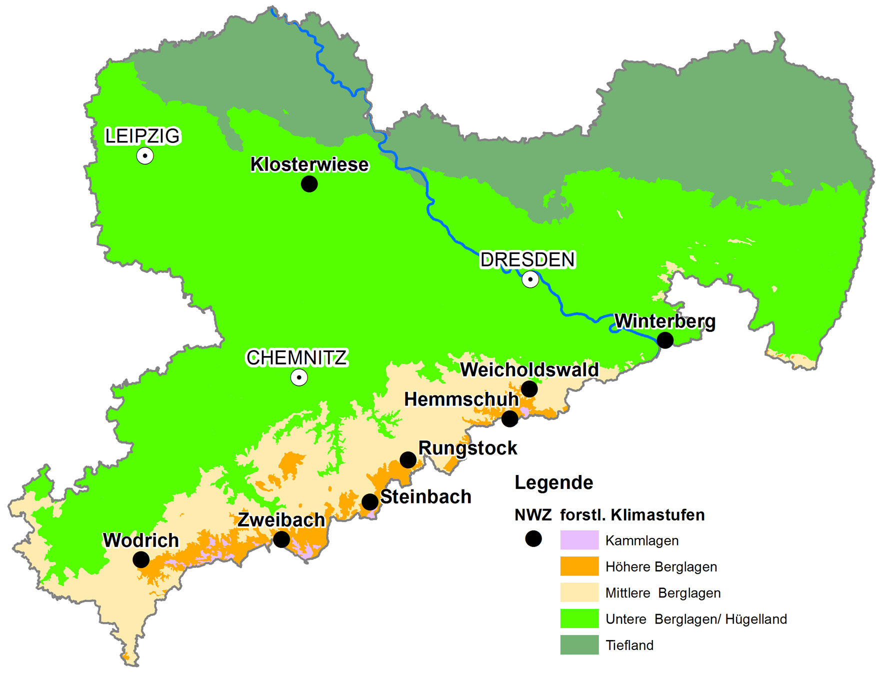 Naturwaldzelle - sachsen.de