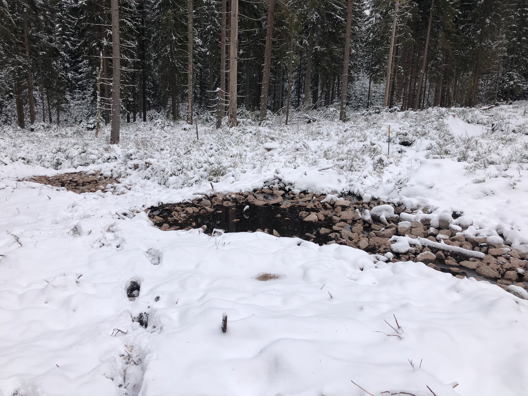 Blick auf den verschneiten Entwässerungsgraben.