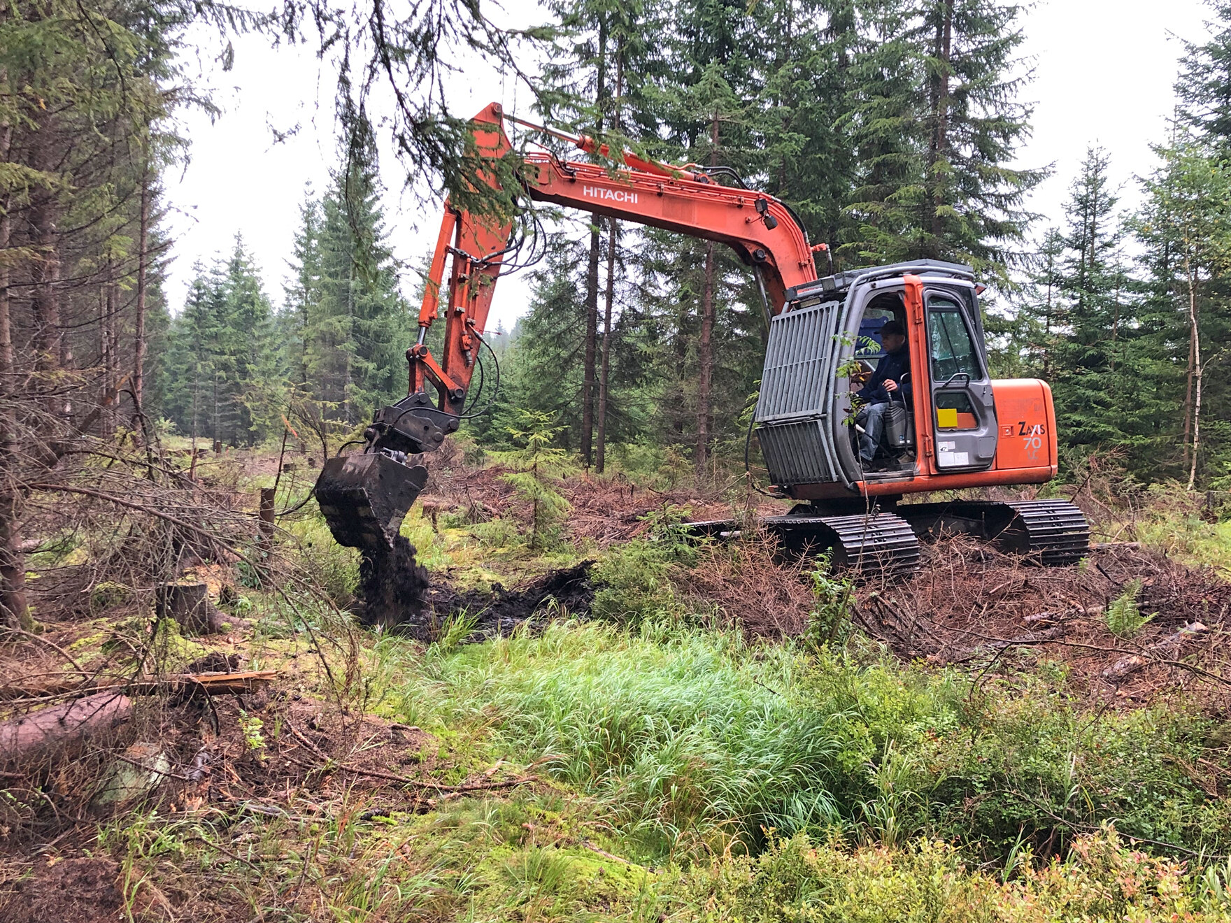 Bagger bei Bauarbeiten im Moor